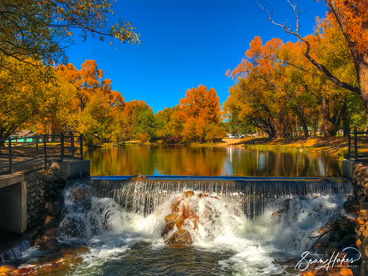 Top 5 Things You Must Do When Visiting Buena Vista, CO